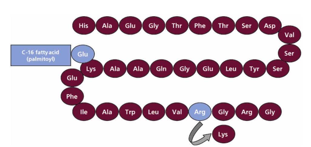 structure of Victoza 