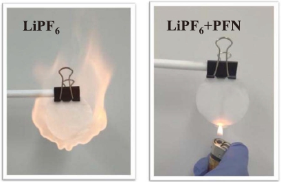 flammability testing of the electrolytes