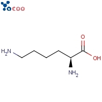 L-Lysine