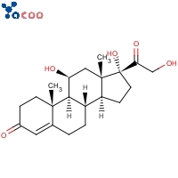 Hydrocortisone