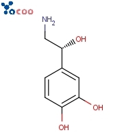 Norepinephrine