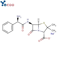 Ampicillin sodium