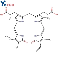 Bilirubin