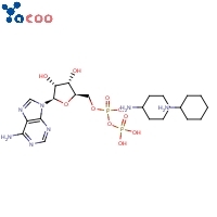 Adp Di(monocyclohexylammonium) salt