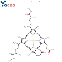 Cytochrome C