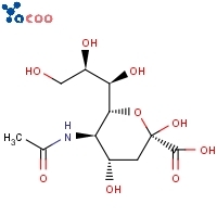 N-Acetylneuraminic acid