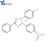 Iodonitrotetrazolium chloride