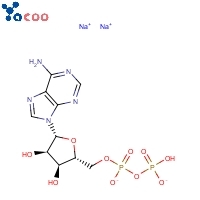 Adenosine-5'-diphosphate disodium salt