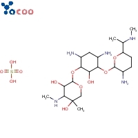 Gentamycin sulfate