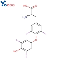 L-Thyroxine