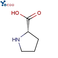 L-Proline