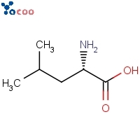 L-Leucine