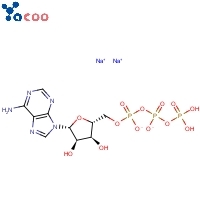 Adenosine 5'-triphosphate disodium salt