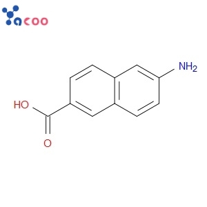 6-AMINO-2-NAPHTHOIC ACID