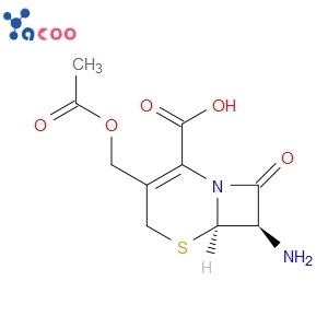 7-AMINOCEPHALOSPORANIC ACID