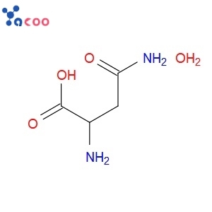 DL-ASPARAGINE MONOHYDRATE