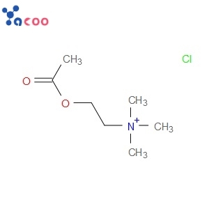 Acetylcholine chloride