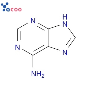 Adenine