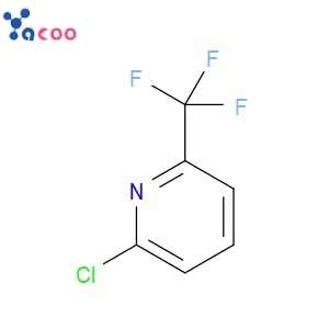 2-CHLORO-6-(TRIFLUOROMETHYL)PYRIDINE