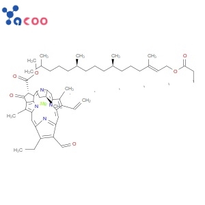 Chlorophyll B