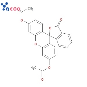 Fluorescein diacetate