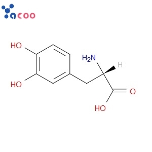 L-DOPA