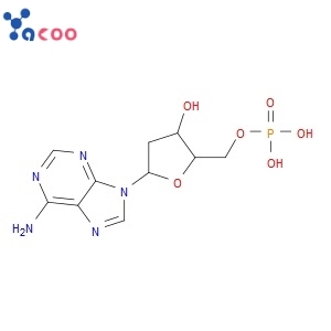 2'-deoxyadenosine 5'-monophosphate