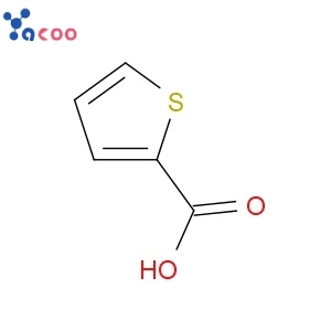 Thiophene-2-carboxylic acid