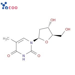 Thymidine