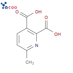 6-Methylpyridine-2,3-dicarboxylic acid