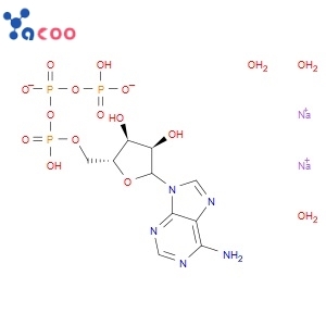 Adenosine 5'-triphosphate disodium salt trihydrate