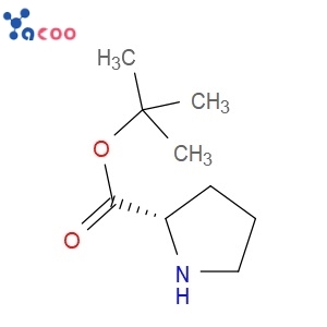 L-Proline tert-butyl ester