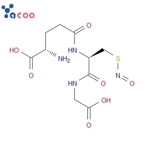S-Nitrosoglutathione