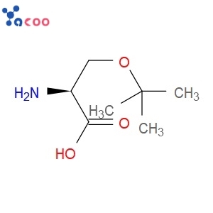 O-tert-Butyl-L-serine