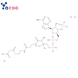 Acetoacetyl coenzyme A sodium salt hydrate