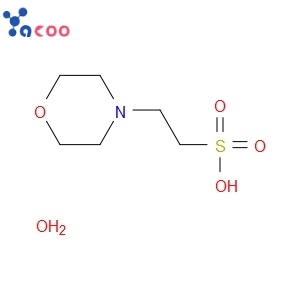 2-Morpholinoethanesulfonic acid, monohydrate