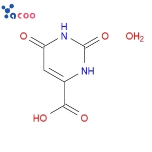 Orotic Acid monohydrate