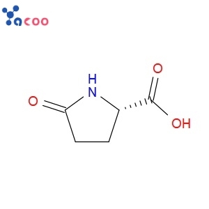 L-Pyroglutamic acid