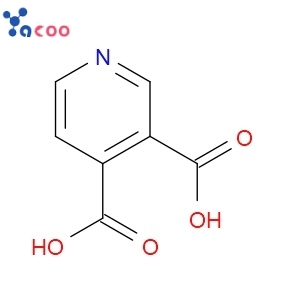 3,4-Pyridinedicarboxylic acid