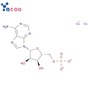 ADENOSINE 5'-MONOPHOSPHATE DISODIUM SALT