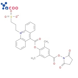 2',6'-dimethyl-4'-(N-succinimidyloxycarbonyl)phenyl-10-methyl-acridinium-9-carboxylate-1-propanesulfonate inner salt