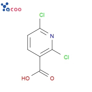 2,6-Dichloronicotinic acid