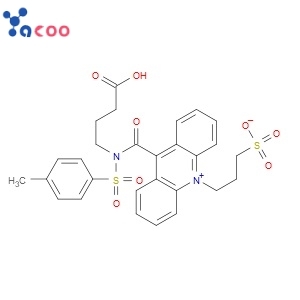 3-[9-(((3-(carboxypropyl)[4-methxylphenyl]sulfonyl)amine)carboxyl]-10-acridiniumyl)-1-propanesulfonate inner salt