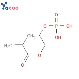 Ethylene glycol methacrylate phosphate