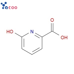 6-Hydroxypicolinic acid