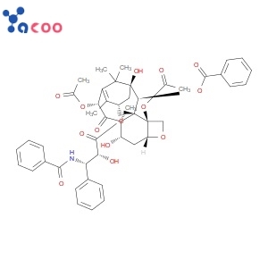 PACLITAXEL