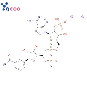 beta-Nicotinamide adenine dinucleotide phosphate disodium salt