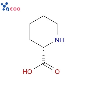 L-PIPECOLIC ACID