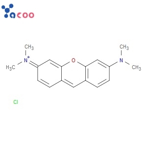 Pyronin Y