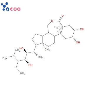 Brassinolide